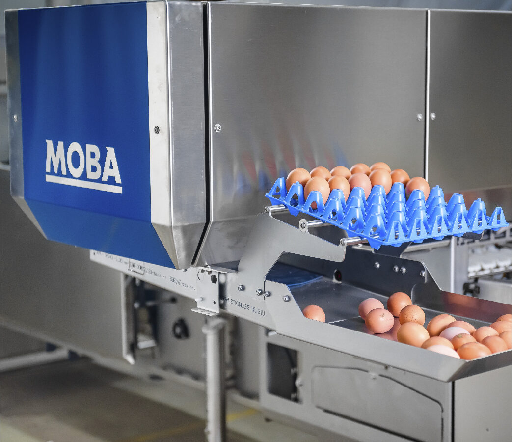 Moba — equipamiento 2