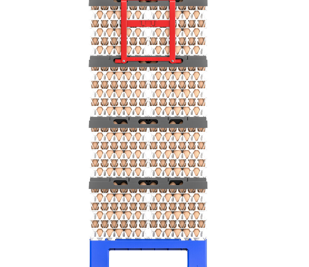 GI-OVO — equipamiento 5