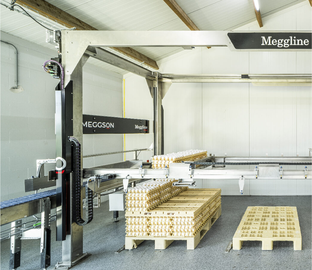 Meggson — equipamiento 6