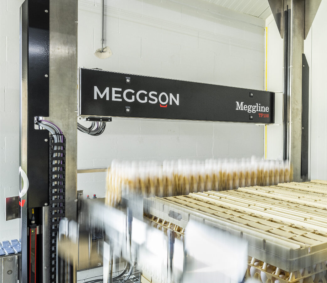 Meggson — equipamiento 4