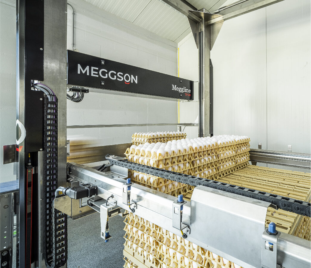 Meggson — equipamiento 3